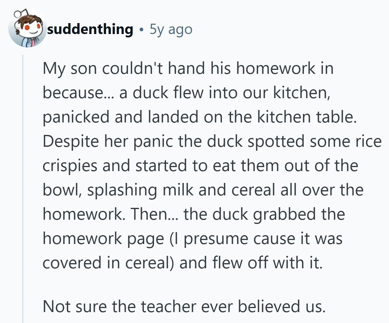 suddenthing 5y ago My son couldn't hand his homework in because... a duck flew into our kitchen, panicked and landed on the kitchen table. Despite her panic the duck spotted some rice crispies and started to eat them out of the bowl, splashing milk and cereal all over the homework. Then... the duck grabbed the homework page (I presume cause it was covered in cereal) and flew off with it. Not sure the teacher ever believed us. 