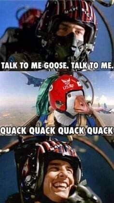 МАЙ PIC TALK TO ME GOOSE. TALK TO ME. USAF QUACK QUACK QUACK QUACK MAY