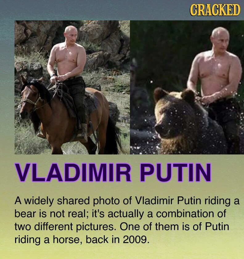 CRACKED VLADIMIR PUTIN A widely shared photo of Vladimir Putin riding a bear is not real; it's actually a combination of two different pictures. One of them is of Putin riding a horse, back in 2009.