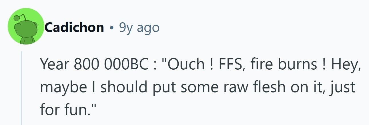 Cadichon . 9y ago Year 800 000BC : Ouch ! FFS, fire burns ! Hey, maybe I should put some raw flesh on it, just for fun. 