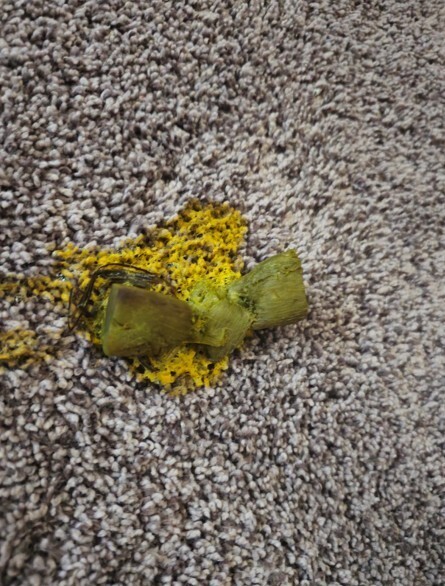 Photos Where Something Came as a Big Surprise