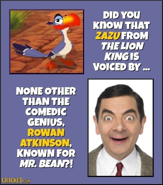 DID YOU know THAT ZAZU FROM THE LION KING IS VOICED BY... NONE OTHER THAN THE COMEDIC GENIUS, ROWAN ATKINSON, KNOWN FOR MR. BEAN?! CRACKED COM