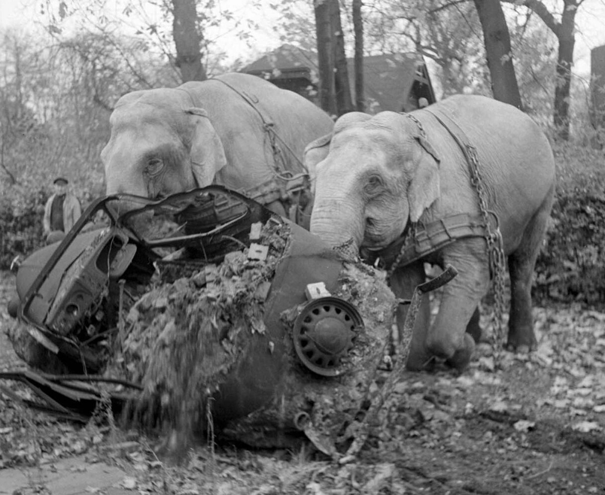 15 Photos Where History Doesn't Present Itself as Normal