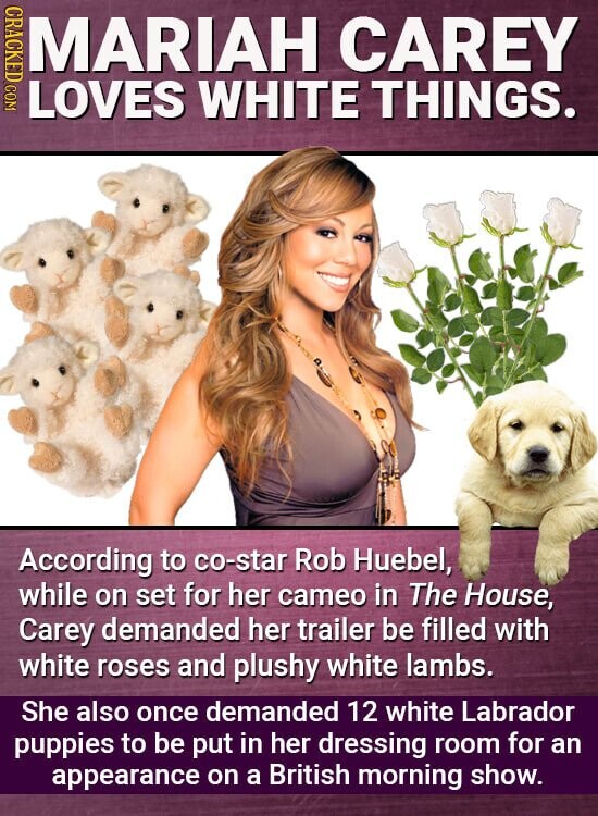 CRACKED COM MARIAH CAREY LOVES WHITE THINGS. According to co-star Rob Huebel, while on set for her cameo in The House, Carey demanded her trailer be filled with white roses and plushy white lambs. She also once demanded 12 white Labrador puppies to be put in her dressing room for an appearance on a British morning show.