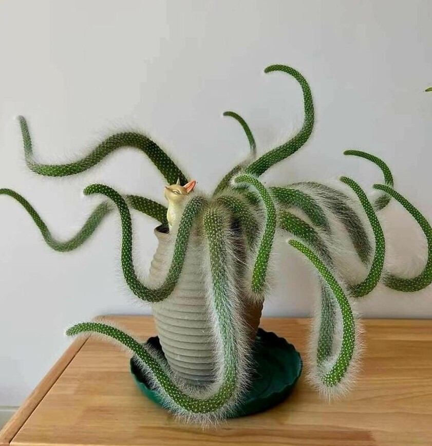 20 Photos Where We're at a Loss for What's Going On