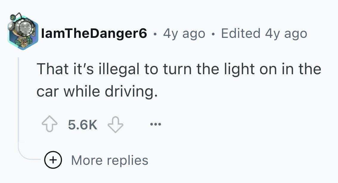 lamTheDanger6 . . 4y ago . Edited 4y ago That it's illegal to turn the light on in the car while driving. 5.6K ... + More replies