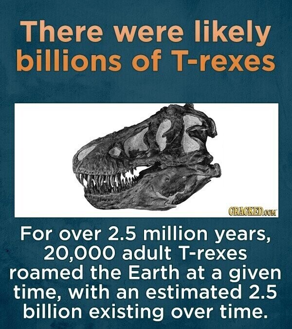 There were likely billions of T-rexes GRAGKED.COM For over 2.5 million years, 20,000 adult T-rexes roamed the Earth at a given time, with an estimated 2.5 billion existing over time.
