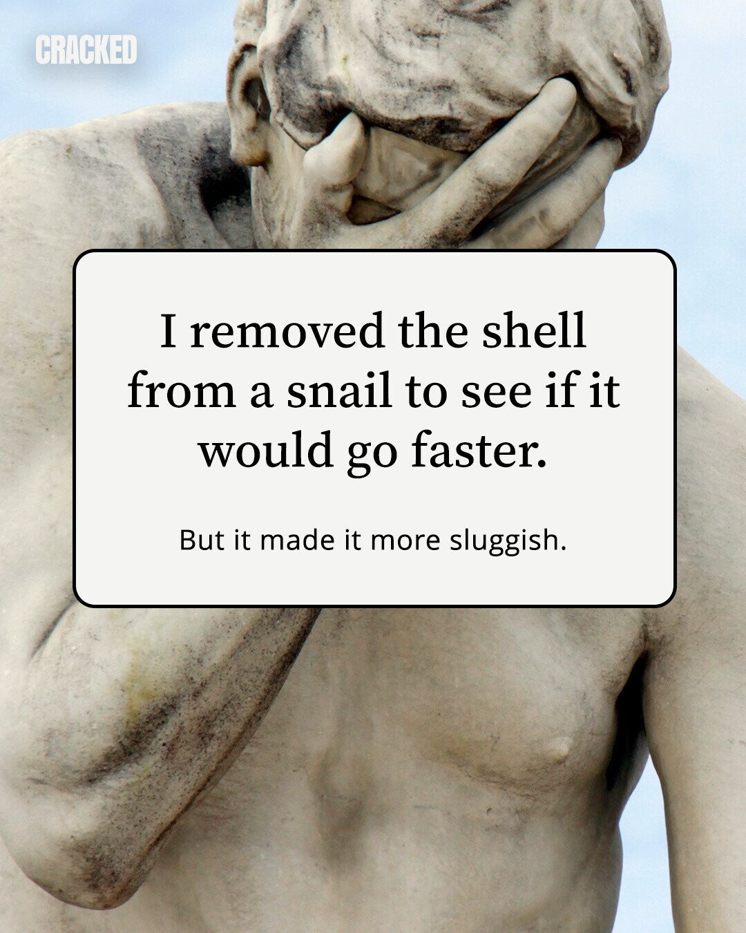 CRACKED I removed the shell from a snail to see if it would go faster. But it made it more sluggish. 