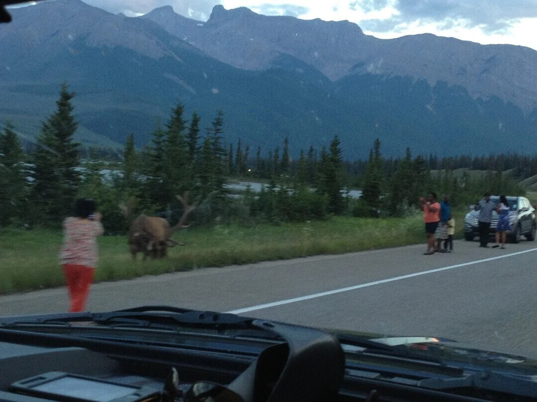 18 Tourists Giving the Rest a Bad Reputation