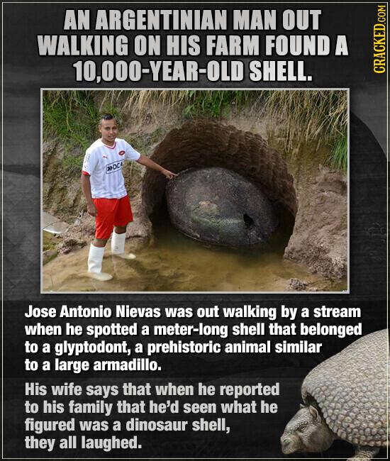 AN ARGENTINIAN MAN OUT WALKING ON HIS FARM FOUND A 10,000-YEAR-OLD SHELL. CRACKED.COM »OCA Jose Antonio Nievas was out walking by a stream when he spotted a meter-long shell that belonged to a glyptodont, a prehistoric animal similar to a large armadillo. His wife says that when he reported to his family that he'd seen what he figured was a dinosaur shell, they all laughed.