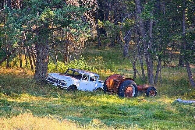 Cars Parked, Abandoned Or Wrecked In Wild Places