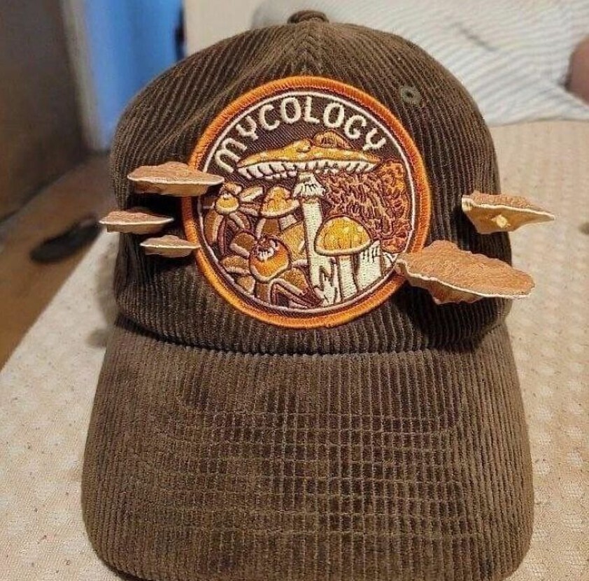 20 Photos Where We're at a Loss for What's Going On