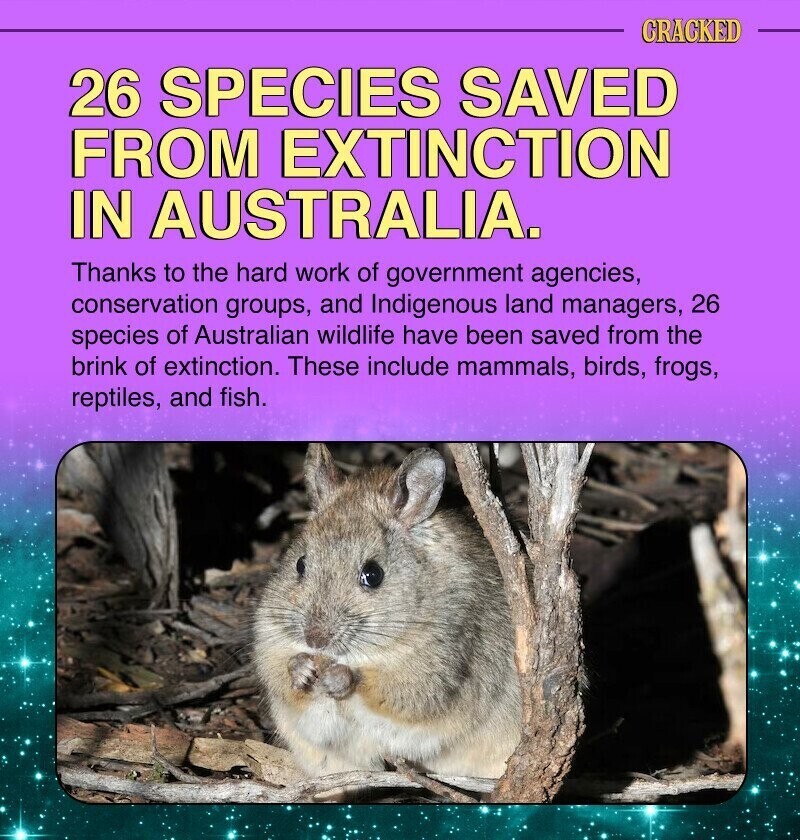 CRACKED 26 SPECIES SAVED FROM EXTINCTION IN AUSTRALIA. Thanks to the hard work of government agencies, conservation groups, and Indigenous land managers, 26 species of Australian wildlife have been saved from the brink of extinction. These include mammals, birds, frogs, reptiles, and fish.