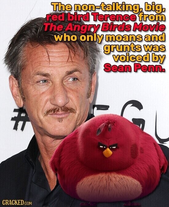 The non-talking, big, red bird Terence from The Angry Birds Movie who only moans and grunts was voiced by Sean Penn. CRACKED.COM
