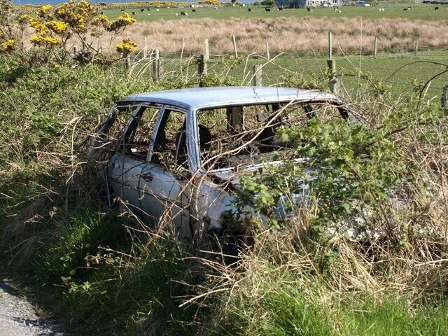 Cars Parked, Abandoned Or Wrecked In Wild Places