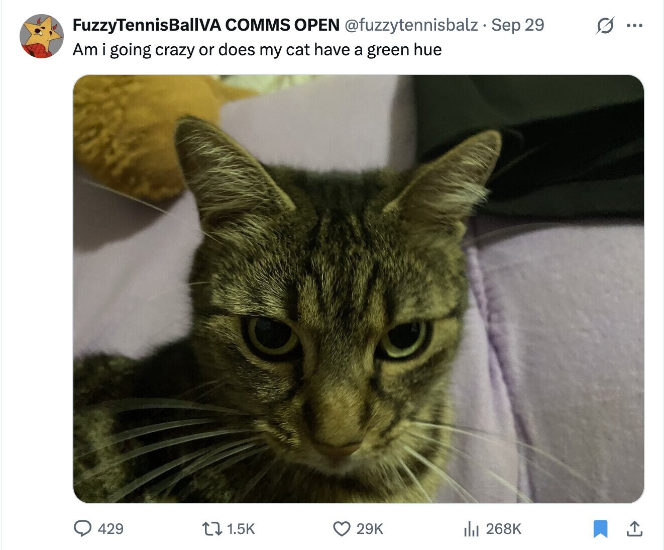 FuzzyTennisBallVA COMMS OPEN @fuzzytennisbalz Sep 29 S ... Am i going crazy or does my cat have a green hue 429 29K 1.5K 268K 