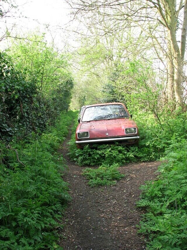 Cars Parked, Abandoned Or Wrecked In Wild Places