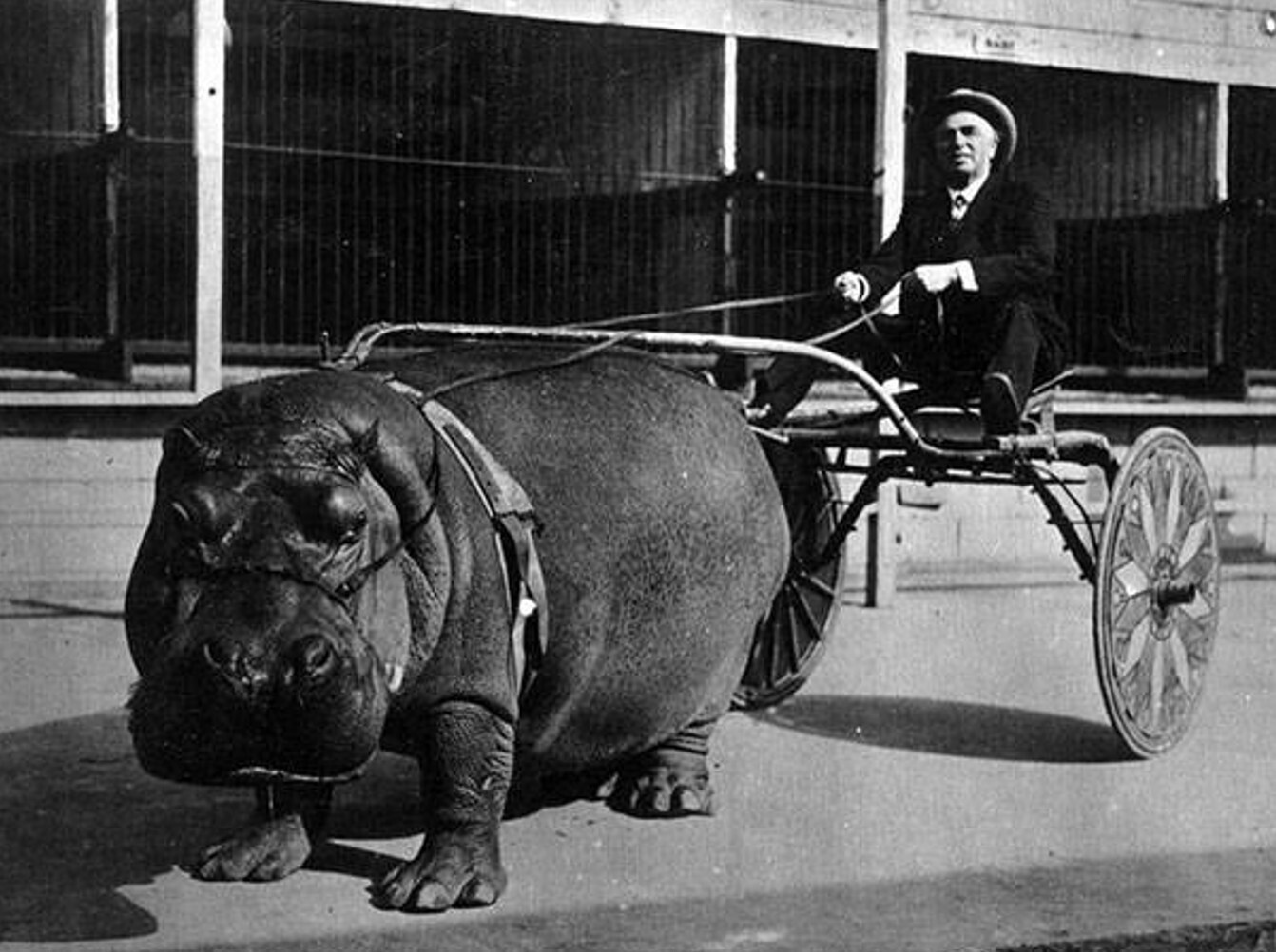 15 Photos Where History Doesn't Present Itself as Normal