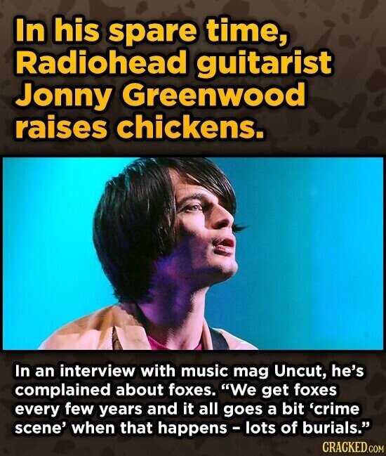 In his spare time, Radiohead guitarist Jonny Greenwood raises chickens. In an interview with music mag Uncut, he's complained about foxes. We get foxes every few years and it all goes a bit 'crime scene' when that happens - lots of burials. CRACKED.COM