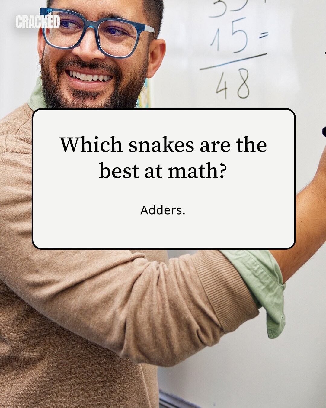 CRACKED 15 = 48 Which snakes are the best at math? Adders. 