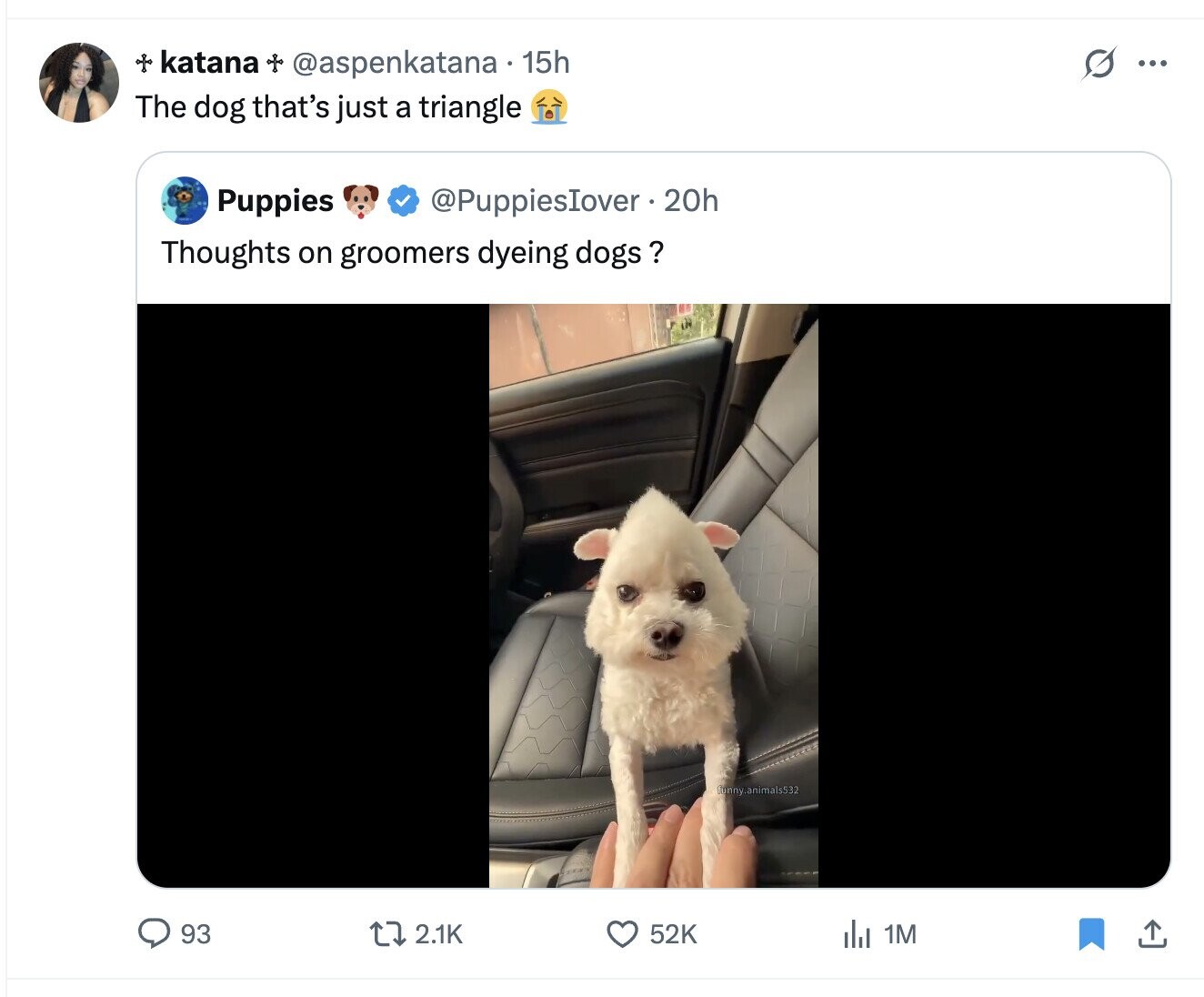 of katana + @aspenkatana 15h G ... The dog that's just a triangle Puppies @PuppiesIover.2 20h Thoughts on groomers dyeing dogs ? funny.animals532 93 2.1K 52K del 1M 