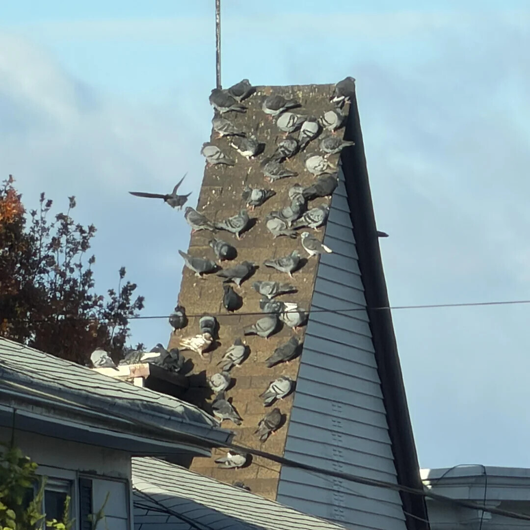 Unedited Photos That Look Like Glitches in Reality