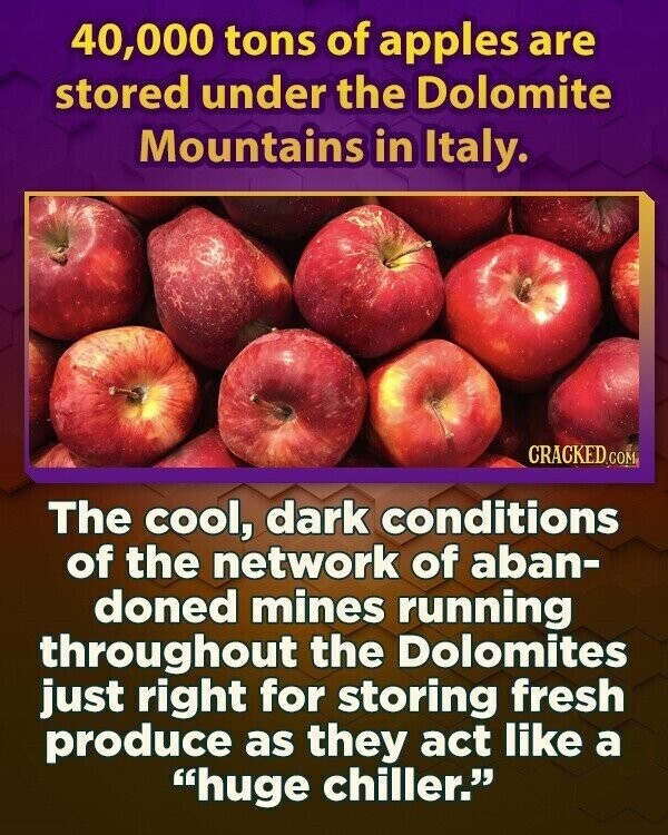 40,000 tons of apples are stored under the Dolomite Mountains in Italy. CRACKED.COM The cool, dark conditions of the network of aban- doned mines running throughout the Dolomites just right for storing fresh produce as they act like a huge chiller.
