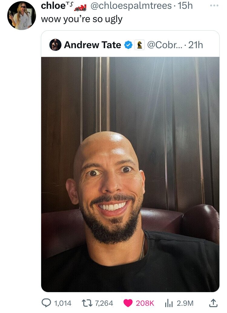 chloeTS ... OLO @chloespalmtrees- 15h wow you're so ugly Andrew Tate @Cobr... .2 21h 1,014 7,264 208K del 2.9M