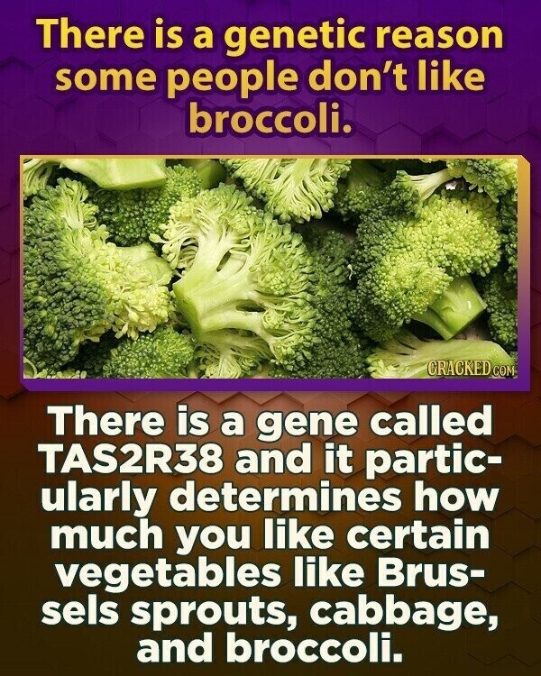 There is a genetic reason some people don't like broccoli. CRACKED COM There is a gene called TAS2R38 and it partic- ularly determines how much you like certain vegetables like Brus- sels sprouts, cabbage, and broccoli.