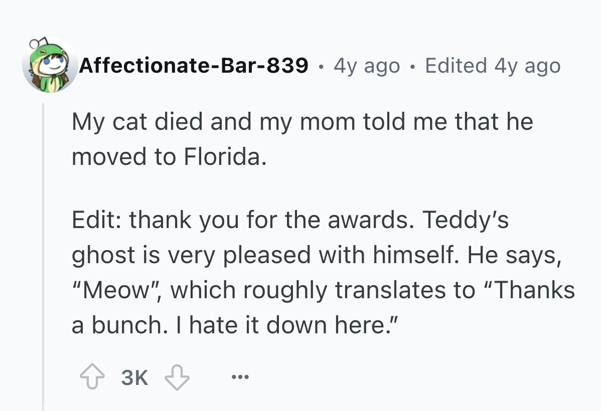 Affectionate-Bar-839 . 4y ago I Edited 4y ago My cat died and my mom told me that he moved to Florida. Edit: thank you for the awards. Teddy's ghost is very pleased with himself. Не says, Meow, which roughly translates to Thanks a bunch. I hate it down here. 3K ...
