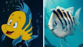 21 Beloved Characters That Got Awful Redesigns