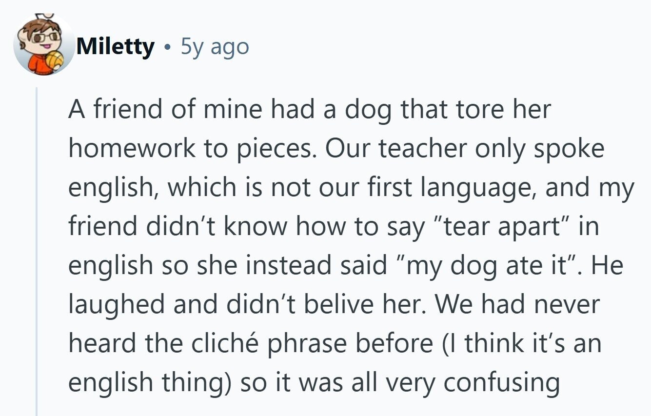 Miletty 5y ago A friend of mine had a dog that tore her homework to pieces. Our teacher only spoke english, which is not our first language, and my friend didn't know how to say tear apart in english so she instead said my dog ate it. Не laughed and didn't belive her. We had never heard the cliché phrase before (I think it's an english thing) so it was all very confusing 