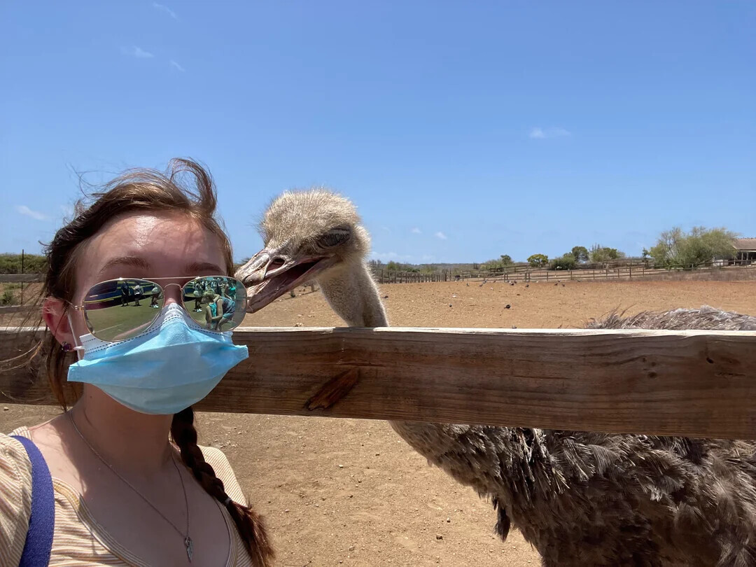 18 Tourists Giving the Rest a Bad Reputation