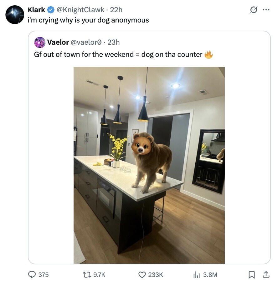 Klark s ... @KnightClawk 22h i'm crying why is your dog anonymous Vaelor @vaelor0 23h Gf out of town for the weekend = dog on tha counter 375 9.7K 233K 3.8M 