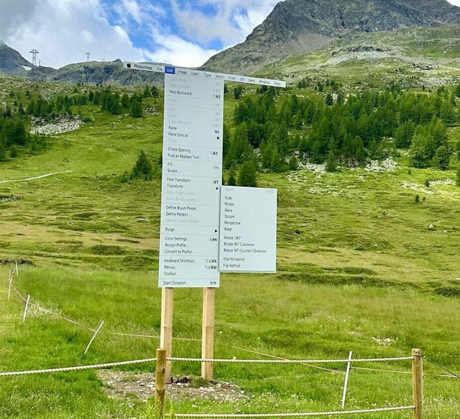 20 Photos Where We're at a Loss for What's Going On