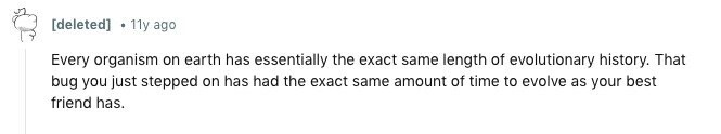 11y ago Every organism on earth has essentially the exact same length of evolutionary history. That bug you just stepped on has had the exact same amount of time to evolve as your best friend has.