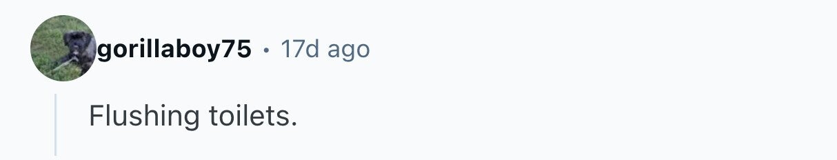 gorillaboy75 . 17d ago Flushing toilets.