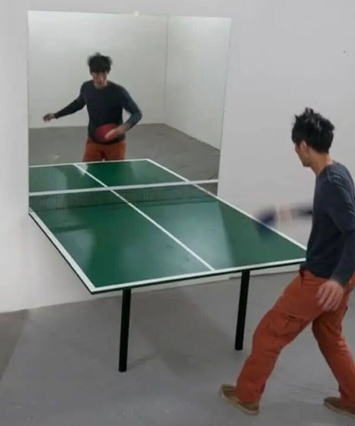 20 Photos Where We're at a Loss for What's Going On