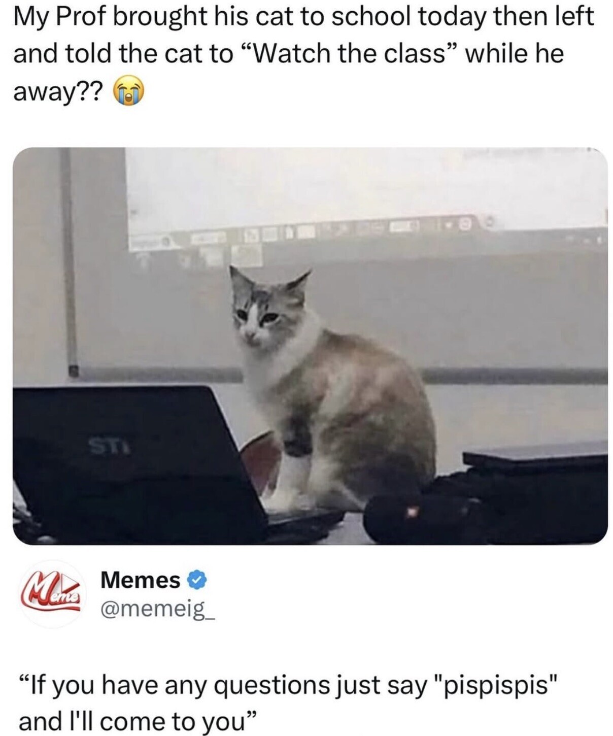 Question And Answer Meme A Fun Bunch of Memes to Take the Edge Off and Bring Back That TGIF ...