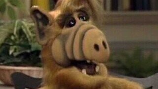 33 Random Bits of Pop-Culture Trivia We Left on a Petri Dish to Grow Into a Single Disgusting Blob