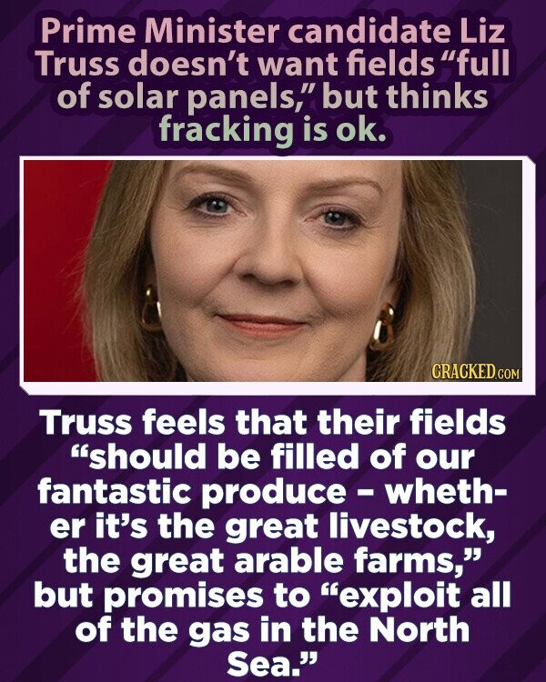 Kandidatė į ministrą pirmininkę Liz Truss nenori, kad laukai būtų pilni saulės baterijų, bet mano, kad skaldymas yra tinkamas.  CRACKED.COM Truss mano, kad jų laukai turėtų būti užpildyti mūsų fantastiška produkcija – ar tai būtų puikūs gyvuliai, ar puikūs ūkiai, tačiau žada išnaudoti visas Šiaurės jūros dujas.