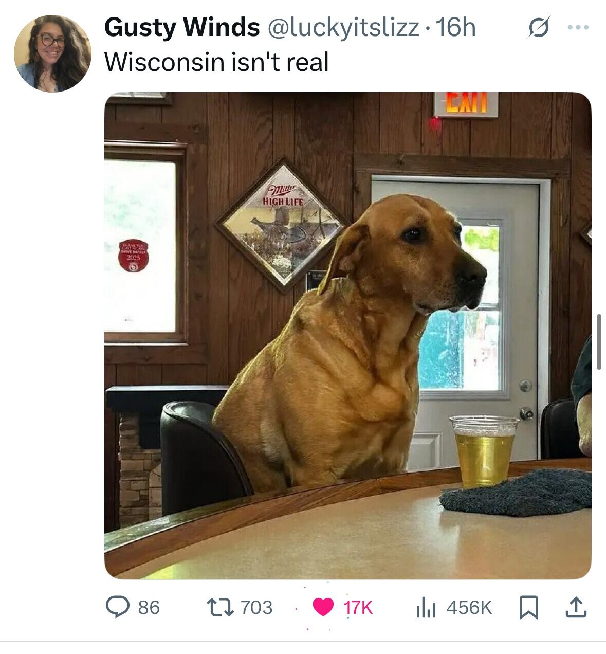 Gusty Winds @luckyitslizz 16h s ... Wisconsin isn't real CAI Miller HIGH LIFE brive SAFELY 2025 86 703 17K 456K 