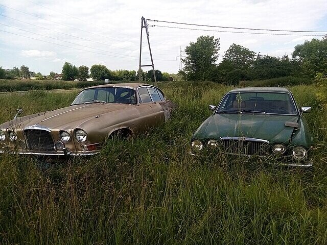 Cars Parked, Abandoned Or Wrecked In Wild Places