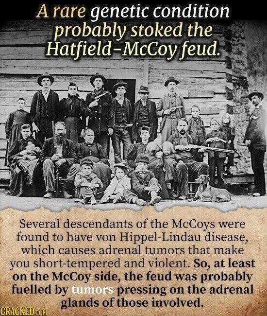 A rare genetic condition probably stoked the Hatfield-McCoy feud. Several descendants of the McCoys were found to have von Hippel-Lindau disease, which causes adrenal tumors that make you short-tempered and violent. So, at least on the McCoy side, the feud was probably fuelled by tumors pressing on the adrenal glands of those involved. CRACKED.COM