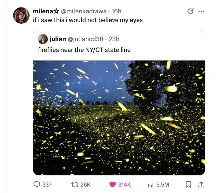 milena @milenkadraws 16h s ... if i saw this i would not believe my eyes julian @juliancd38.23h fireflies near the NY/CT state line 337 26K 314K del 5.5M