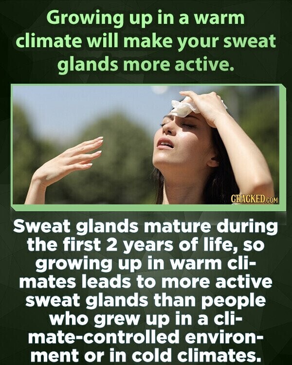 Growing up in a warm climate will make your sweat glands more active. CRACKED COM Sweat glands mature during the first 2 years of life, so growing up in warm cli- mates leads to more active sweat glands than people who grew up in a cli- mate-controlled environ- ment or in cold climates.