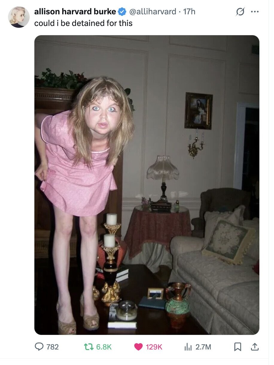 allison harvard burke @alliharvard - 17h G ... could i be detained for this 782 6.8K 129K del 2.7M
