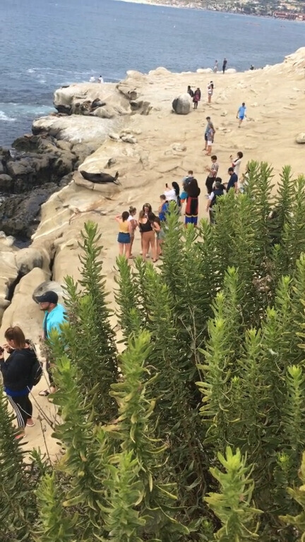 18 Tourists Giving the Rest a Bad Reputation