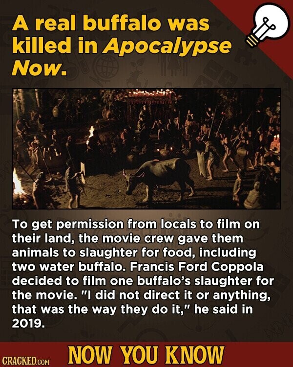 A real buffalo was killed in Apocalypse Now. To get permission from locals to film on their land, the movie crew gave them animals to slaughter for food, including two water buffalo. Francis Ford Coppola decided to film one buffalo's slaughter for the movie. I did not direct it or anything, that was the way they do it, he said in 2019. NOW YOU KNOW CRACKED.COM