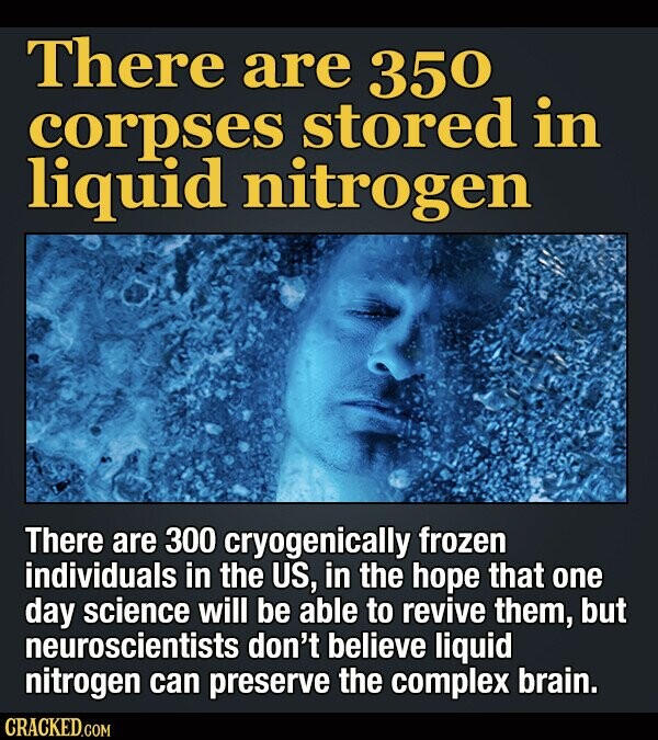 There are 350 corpses stored in liquid nitrogen There are 300 cryogenically frozen individuals in the US, in the hope that one-day science will be able to revive them, but neuroscientists don't believe liquid nitrogen can preserve the complex brain. CRACKED.COM